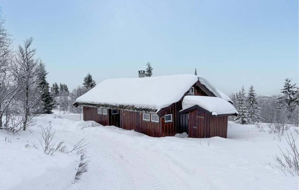 een schuur bedekt met sneeuw in een sneeuwveld bij Gorgeous Home In Venabygd With House A Mountain View in Venabygd