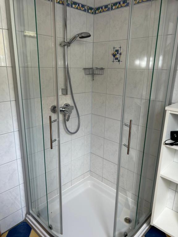 a shower with a glass enclosure in a bathroom at Haus-Eckberg 101 in Gamlitz
