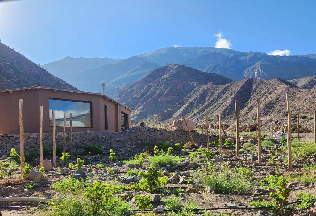 a house in a field with mountains in the background at Cabañas Bodega Kindgard in Purmamarca