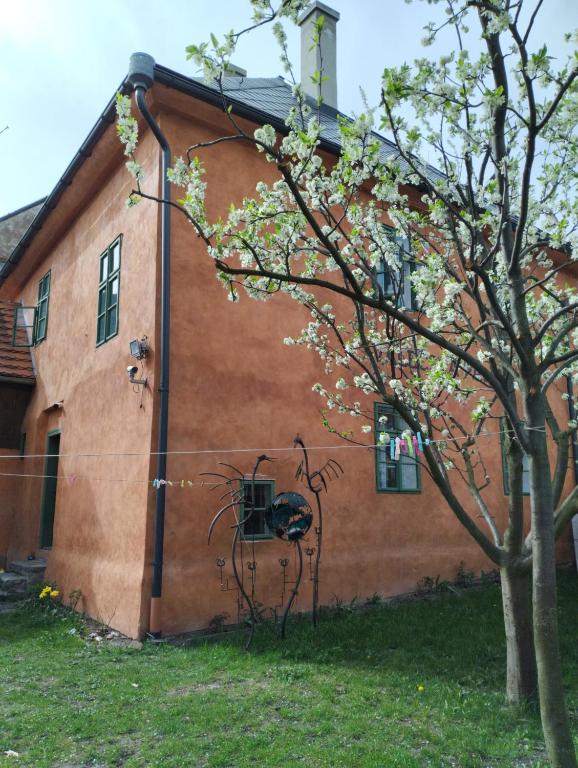 Zahrada ubytování Valečská pálenice
