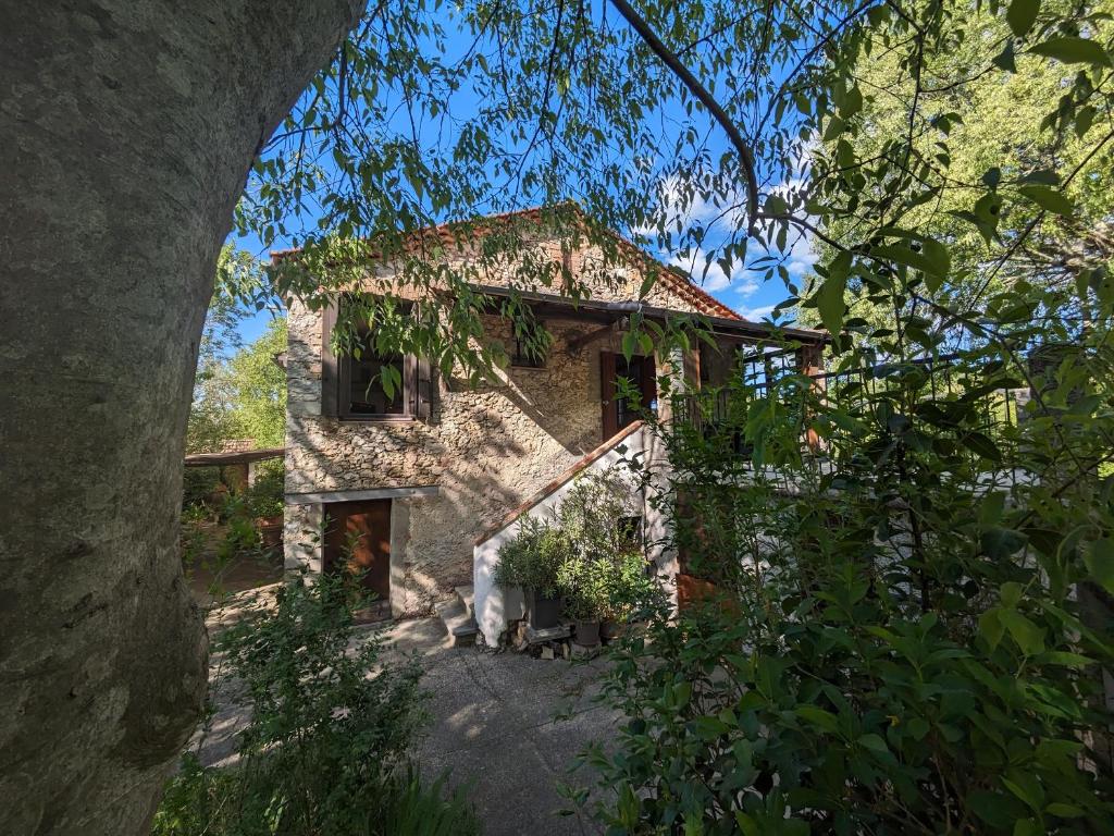 une ancienne maison en pierre au milieu d'une forêt dans l'établissement Maison Brissac, à Brissac