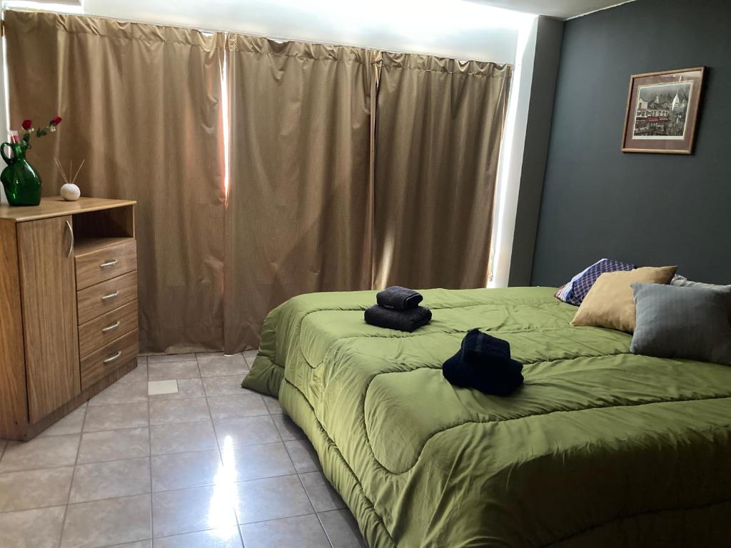 un dormitorio con dos gatos negros sentados en una cama en Departamento Lemos en Mendoza