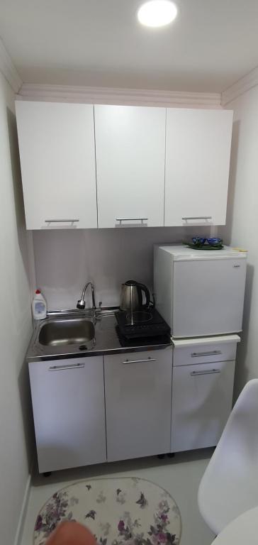 Cozzy apartment near the Aiport Podgorica - 18