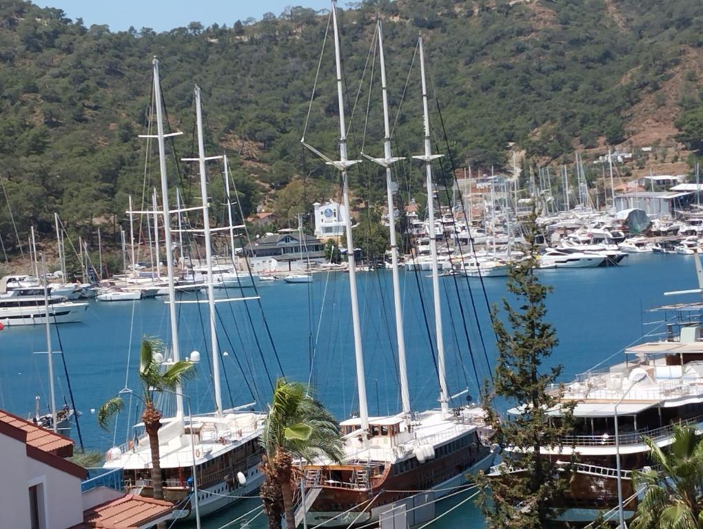 Duygu Apart spellbinding sea views - Appartement Met Uitzicht En Balkon