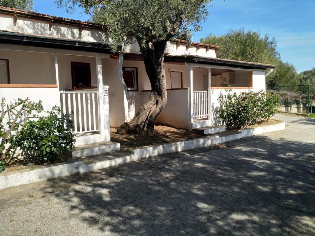 a white house with a tree in front of it at Villaggio Residence Villamarina in Marina di Camerota