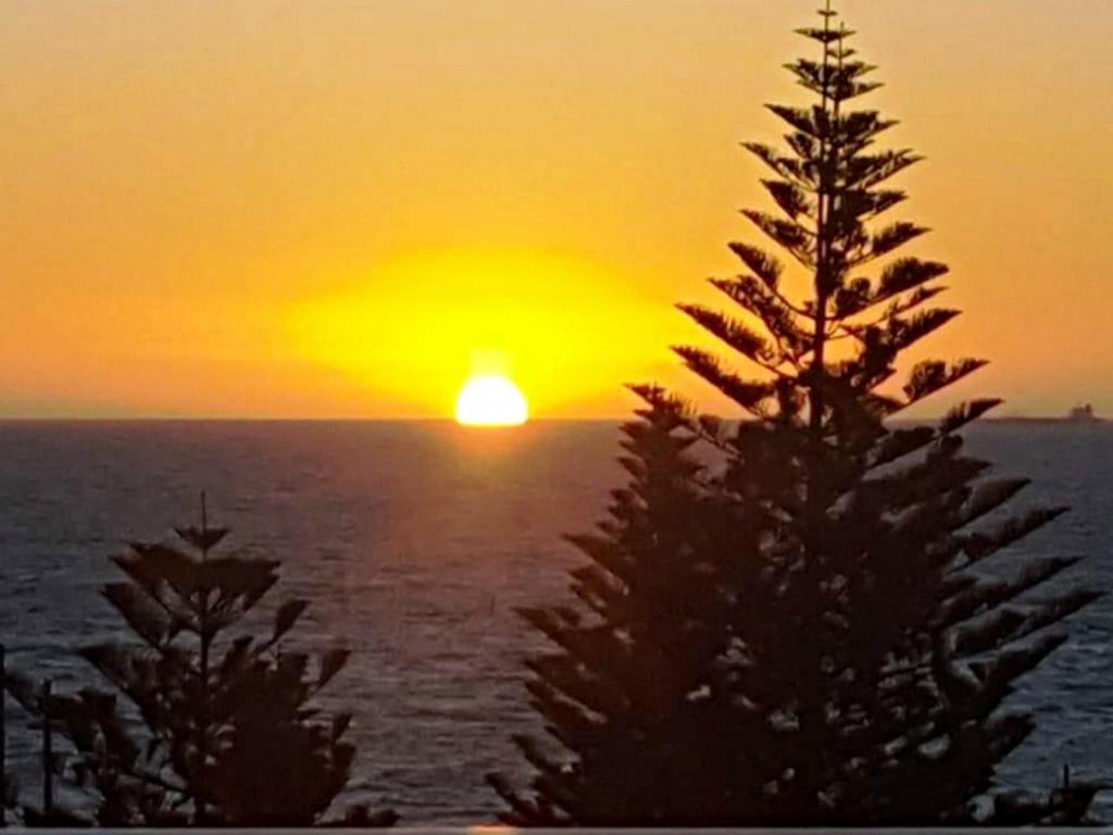 un coucher de soleil sur l'océan avec deux arbres au premier plan dans l'établissement West Beach Lagoon 221 - Stylish Apartment!, à Perth