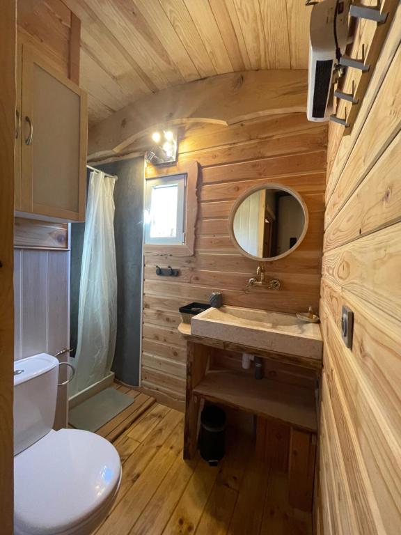 uma pequena casa de banho com lavatório e WC em La roulotte du verdon em Quinson