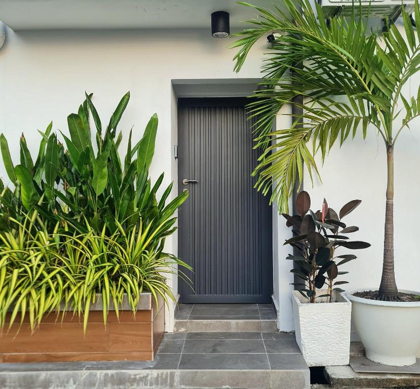 a front door of a house with two plants at [New] Backlane Elegance 5pax Near Jonker 800m in Malacca