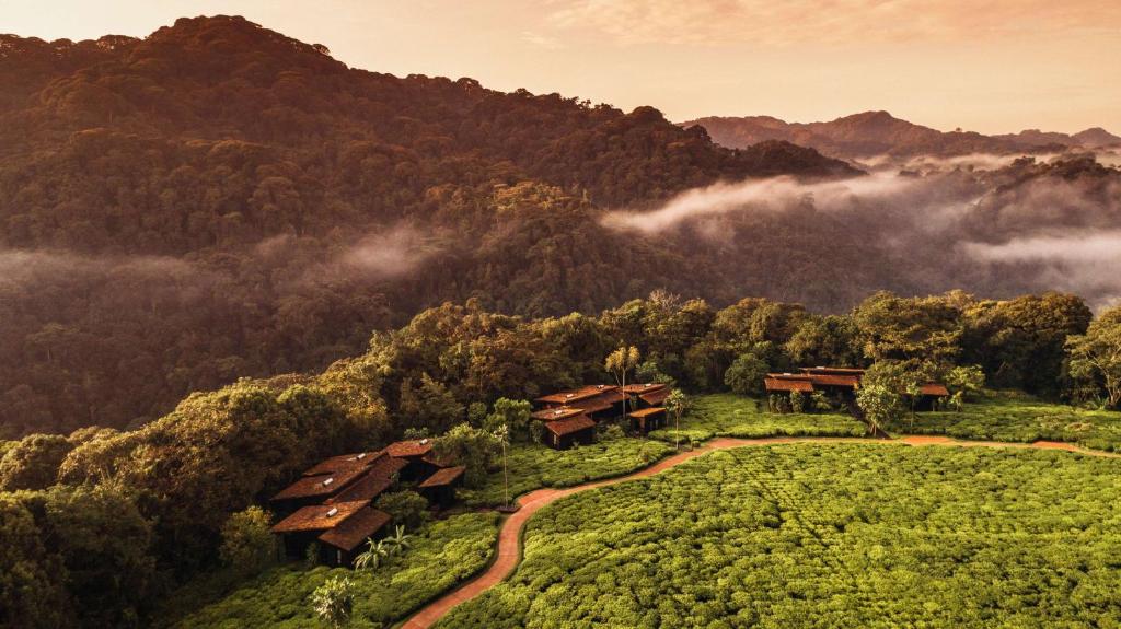 One&Only Nyungwe House - Hizvo