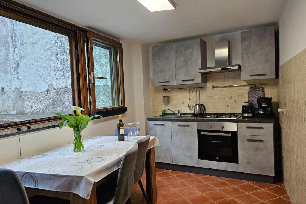 Η κουζίνα ή μικρή κουζίνα στο Danka House: central apartament