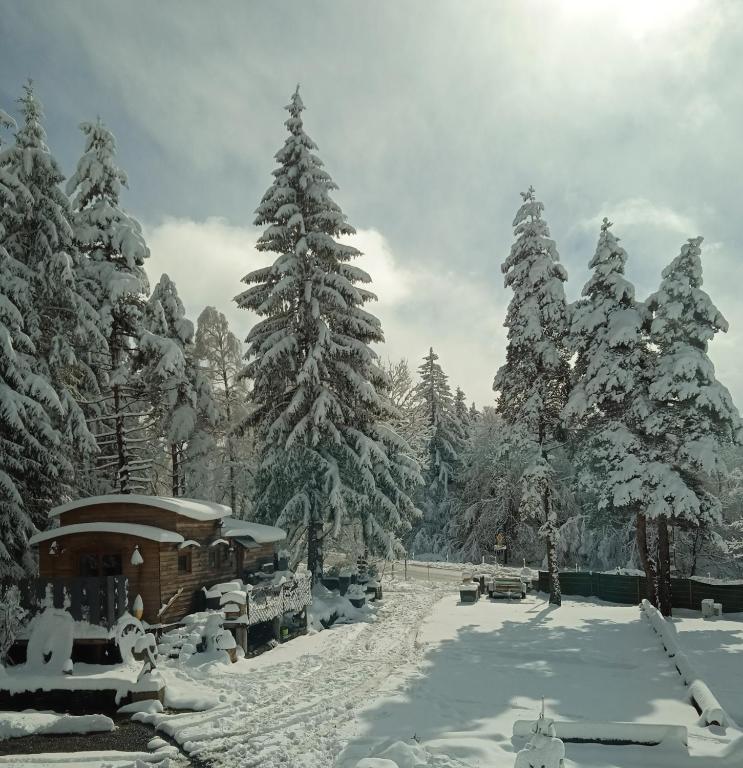 Fotografie z fotogalerie ubytování Chalet coccinelle Domaine de la Mamounette v destinaci Champclause