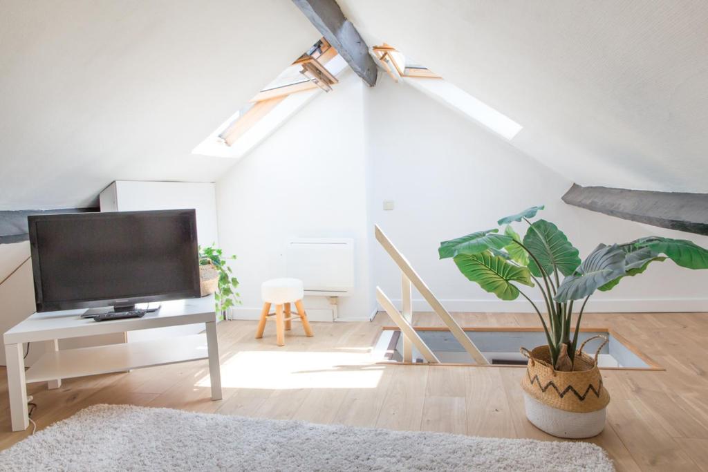 a living room with a tv and a potted plant at Lille Moulin, duplex lumineux 4P in Lille