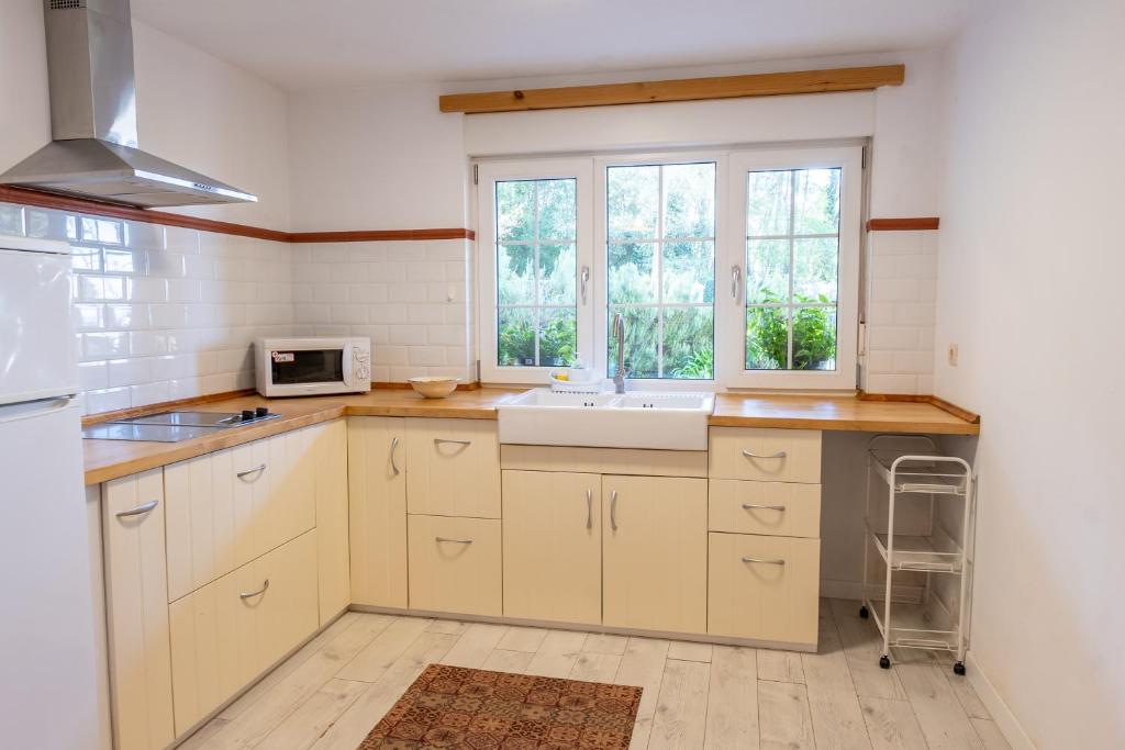 Kuchyň nebo kuchyňský kout v ubytování APARTAMENTOS OLGA