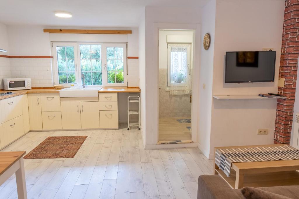 Kuchyň nebo kuchyňský kout v ubytování APARTAMENTOS OLGA