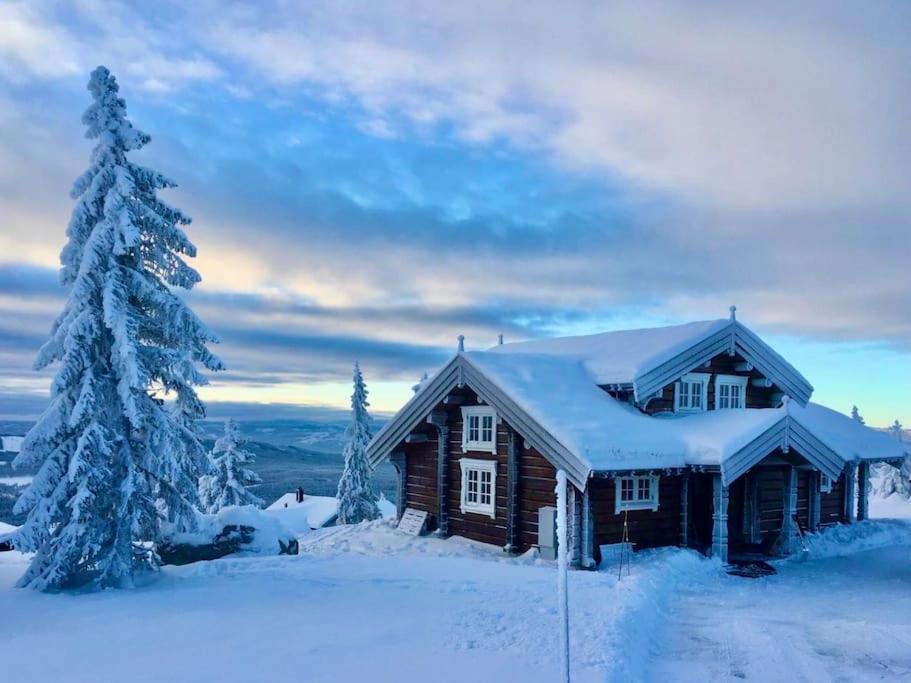 Newer lovely cabin in Birkebeinerbakken Sjusjøen tokom zime