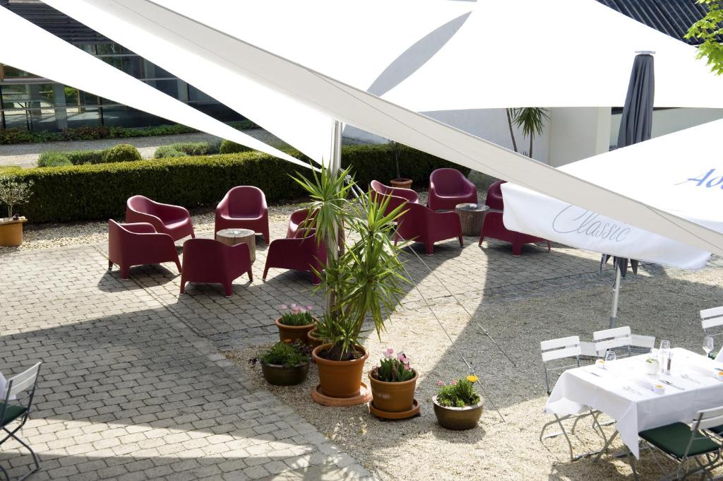 Zahrada ubytování Hotel Kongressissimo