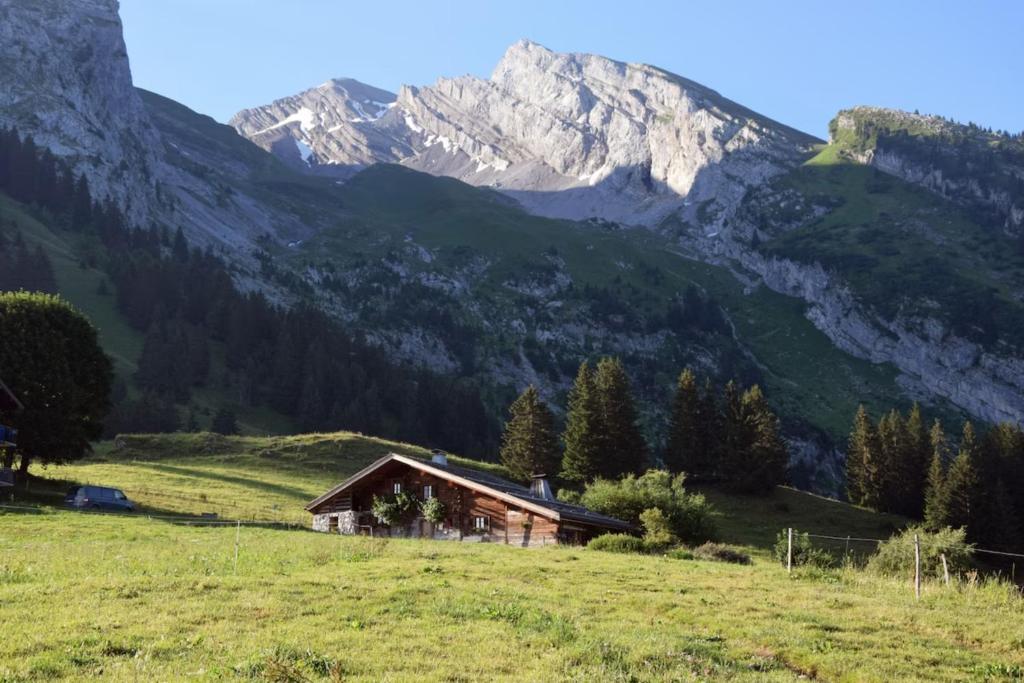 une cabine dans un champ avec des montagnes en arrière-plan dans l'établissement Le vieux madrier, à La Clusaz