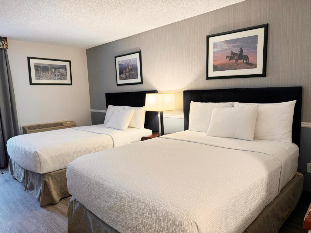 Divya Sutra Plaza and Conference Centre Calgary Airport - Superior Double Queen Room