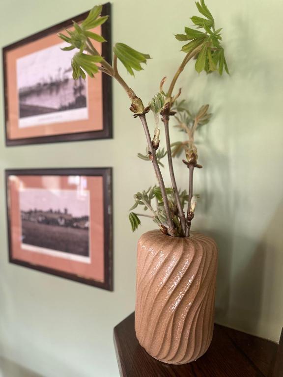 Fotografie z fotogalerie ubytování Vila Flora v destinaci Juodkrantė