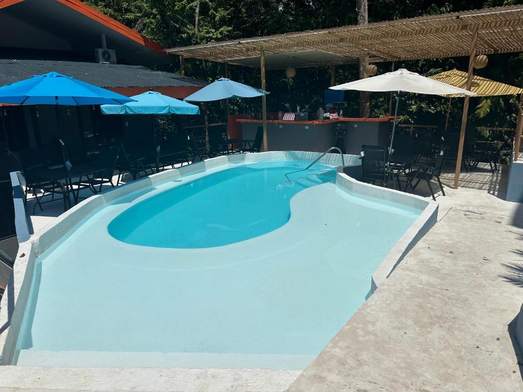 a large blue swimming pool with chairs and umbrellas at Manuel Antonio Inn CR in Manuel Antonio