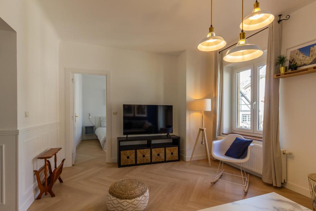 TV a/nebo společenská místnost v ubytování Appartement avec vue sur vignoble