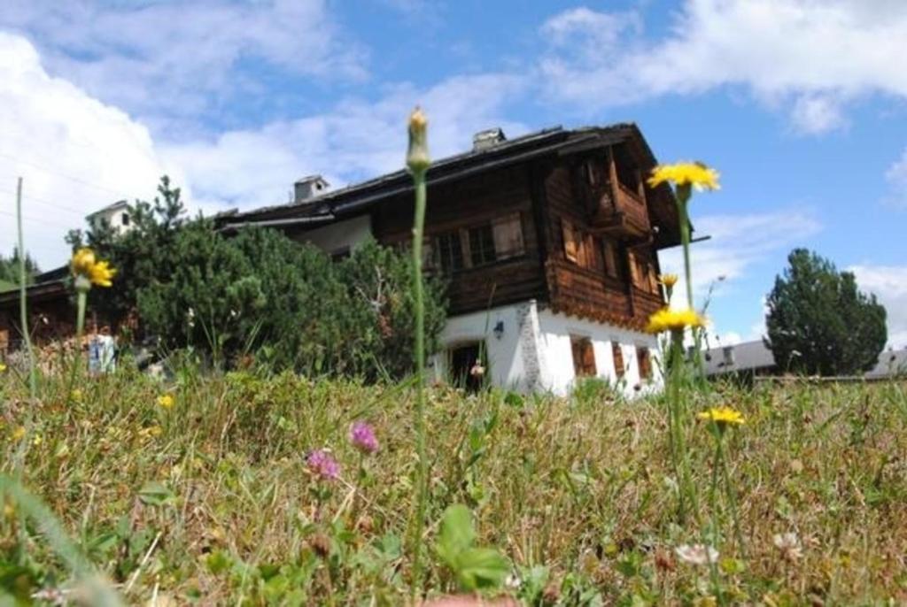 una casa en una colina con un campo de flores en Bündnerchalet im Herz der Schweizer Alpen en Disentis