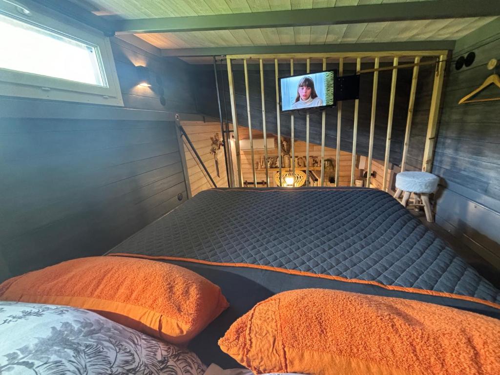 TV a/nebo společenská místnost v ubytování TiNY HOUSE LE CHALET