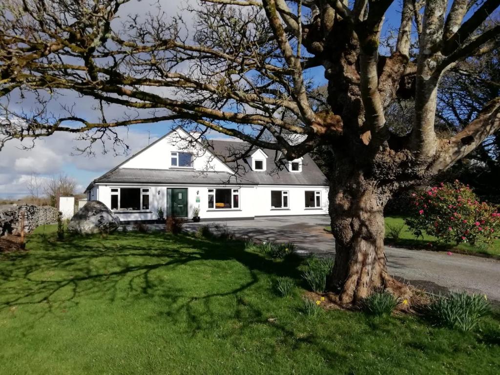 una casa blanca con un árbol en el patio en Mountain View Guesthouse en Oughterard