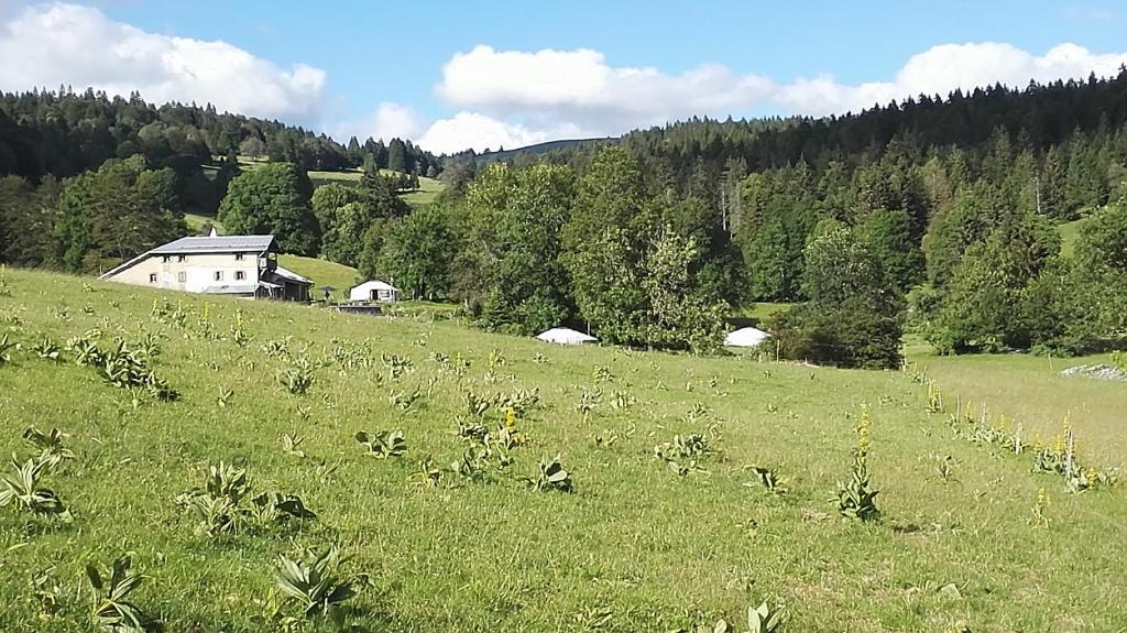 a field of grass with a house in the background at La Petite Echelle in Rochejean