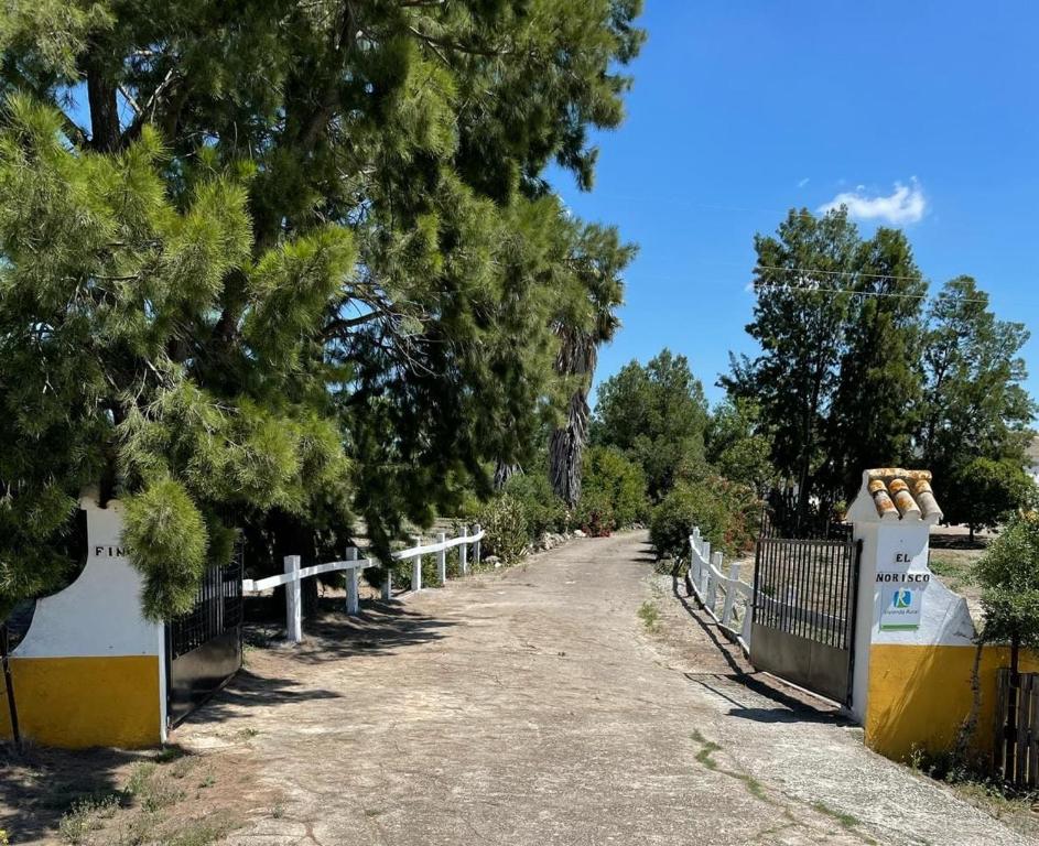 un camino de tierra con una valla y árboles en Cortijo el Morisco., en Espera