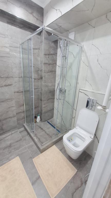 ein Bad mit einer Dusche und einem weißen WC in der Unterkunft AIRHOTEL in Codru