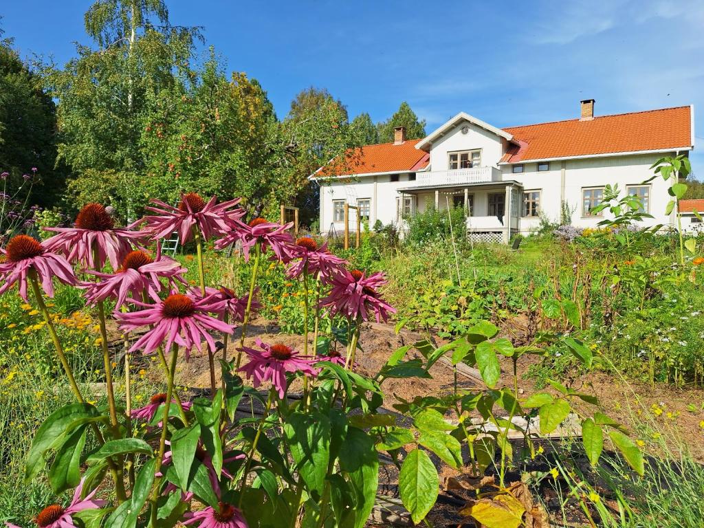Zahrada ubytování Hurdal Gjestegård