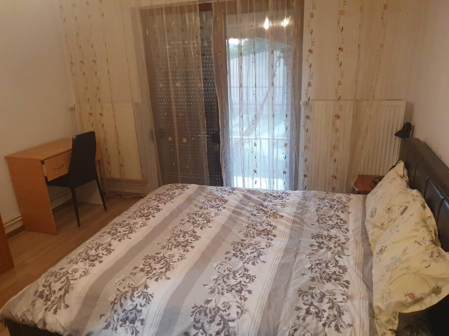 1 dormitorio con cama, escritorio y ventana en Casa cu Nuc, en Bordeiu