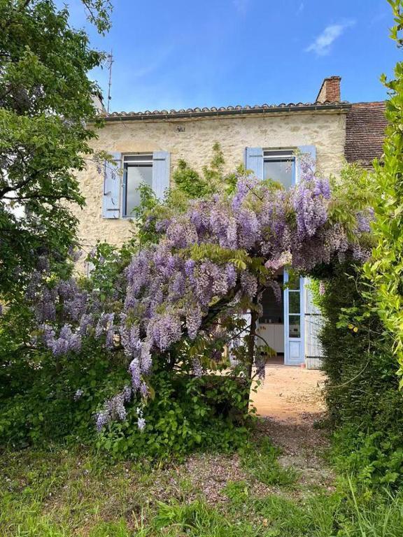 une couronne de lilas pousse devant une maison dans l'établissement Gite La Merlandie, à Montazeau
