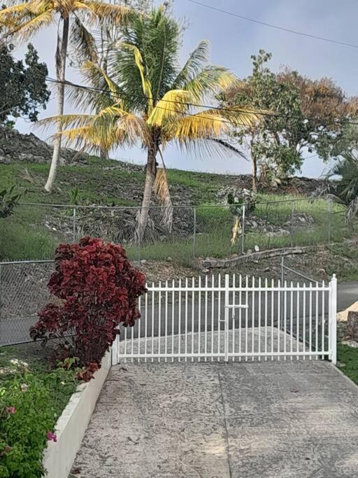 einen weißen Zaun vor einer Palme in der Unterkunft Los Pepinos Apartment in San Sebastian