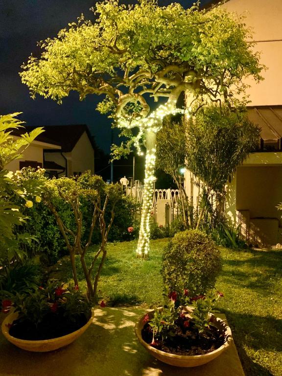 Jardín al aire libre en L'angolo verde apartment