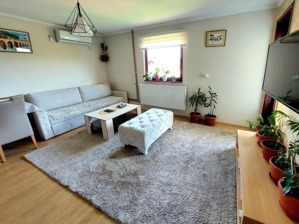 Guesthouse Jelena في فيشغراد: غرفة معيشة مع أريكة وطاولة