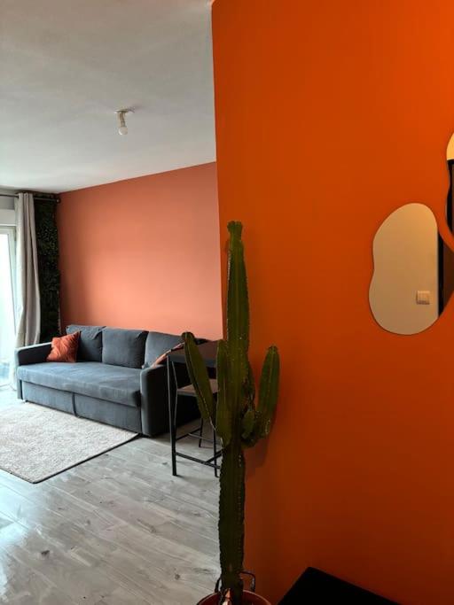 - un salon avec un canapé et un cactus dans l'établissement T2 moderne, Festival Avignon en été, à Avignon