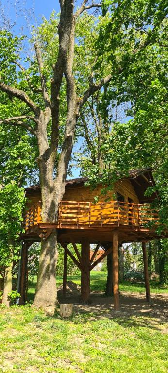 Zahrada ubytování Tree Vill