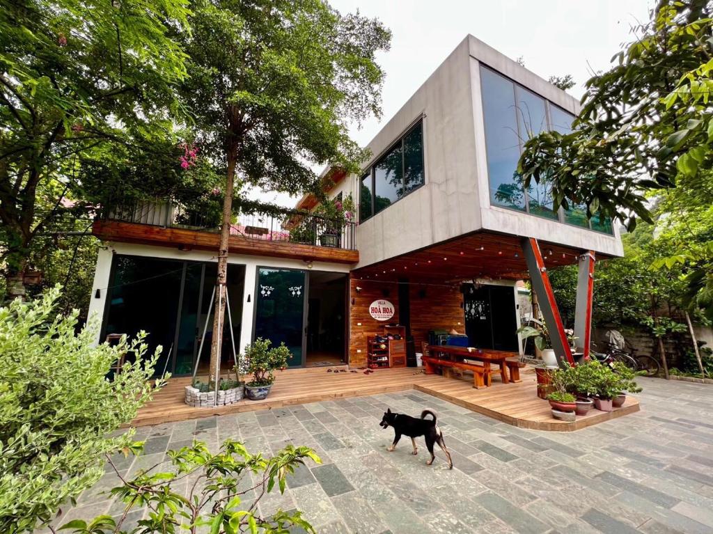 a black dog walking in front of a house at Hoà Hoa villa Ninh binh in Ninh Binh