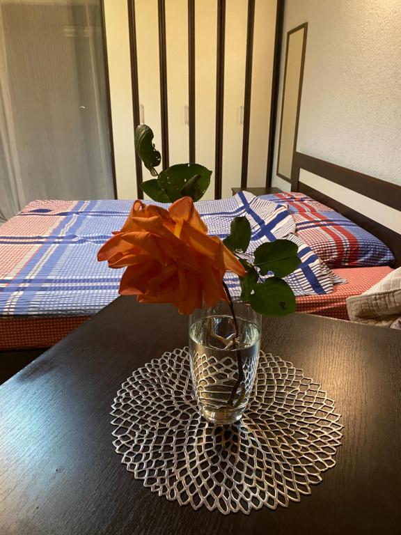 Postel nebo postele na pokoji v ubytování Apartments Arina