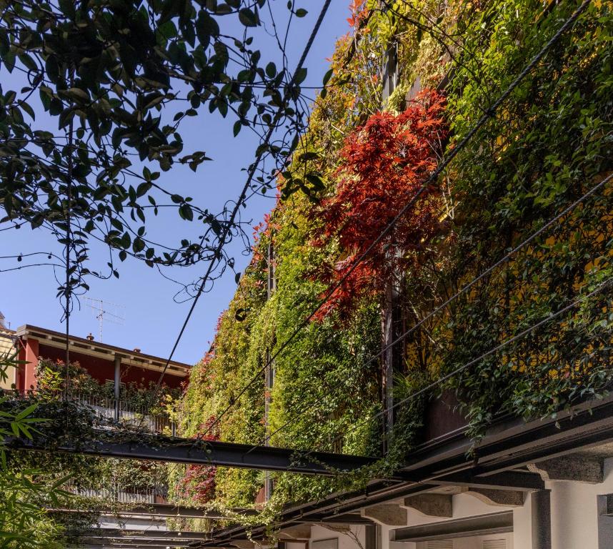 奧梅尼亞的住宿－Residence Casa Coppa Appartamento Ivy，一座植物在建筑的一侧