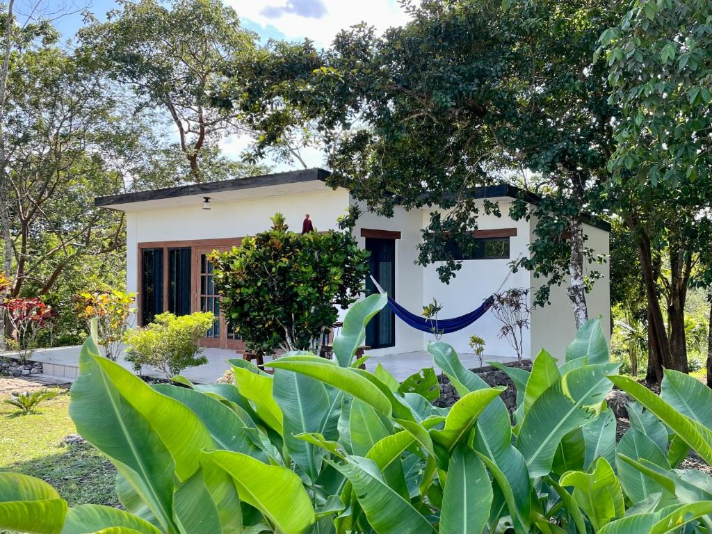 a house with a garden in front of it at Gumbo Limbo Jungle Resort in Cool Shade