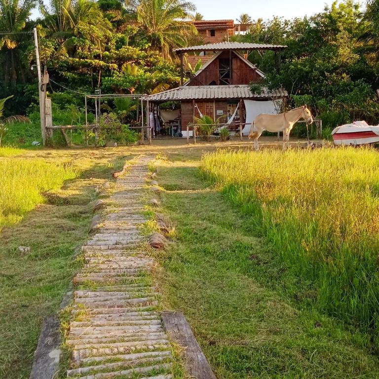 a cow standing in a field next to a house at Belissima Suite frente ao mar, Praia Linda Gamboa in Cayru