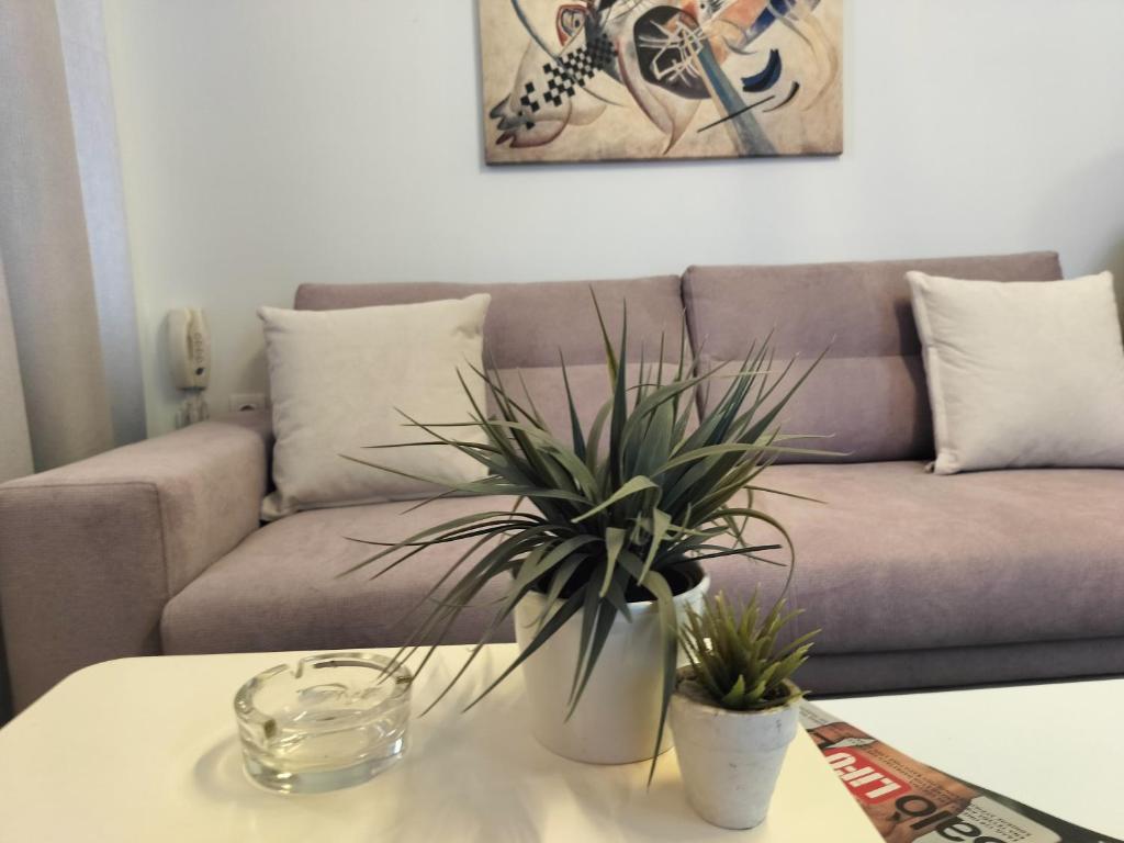 uma sala de estar com um sofá e duas plantas sobre uma mesa em Nefeli -1BR Lux Apartment - Tsimiski Ladadika - Explore Center by foot - Close to Aristotelous square em Tessalônica