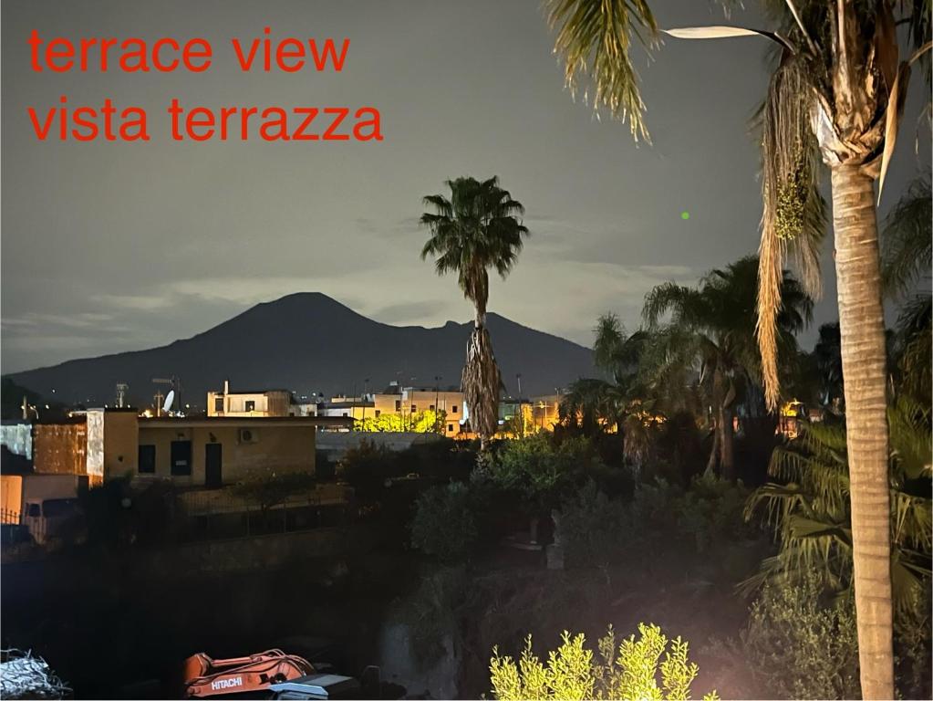 vista su una città con palme e montagna di Pompei Civico 14 a Boscoreale