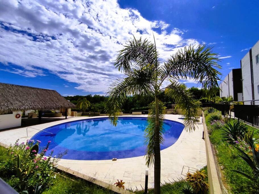 una palmera junto a una piscina azul en Bellísima casa de descanso, piscinas increíbles RICAURTE, en Ricaurte