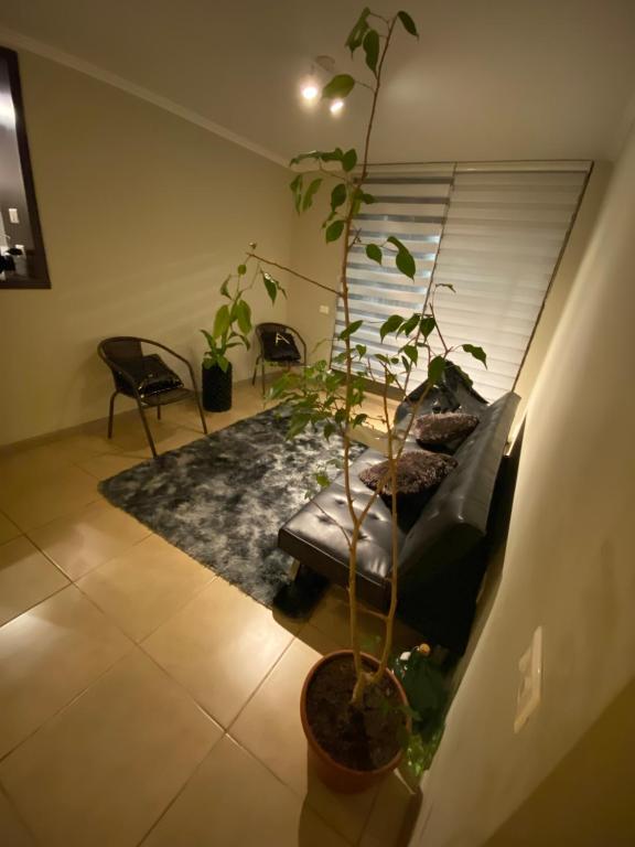 ein Wohnzimmer mit einem Sofa und einer Pflanze in der Unterkunft Departamento para 6 personas amoblado in Los Andes