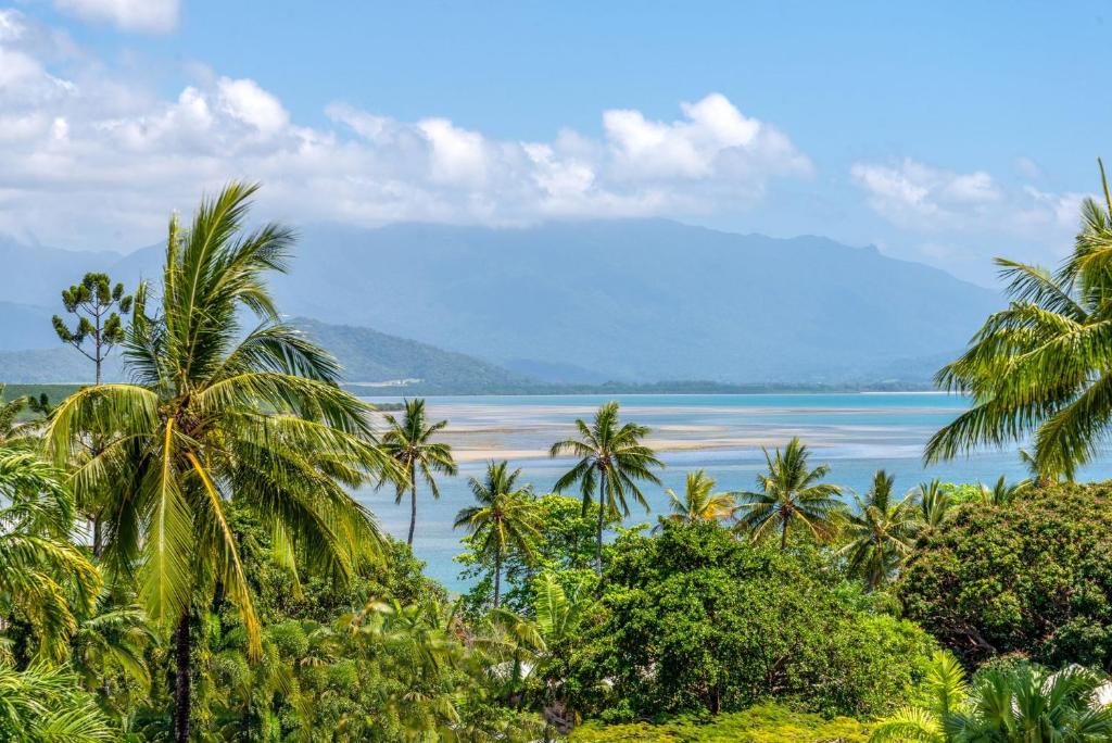 widok na plażę z palmami i ocean w obiekcie The Point Villa 2 w mieście Port Douglas