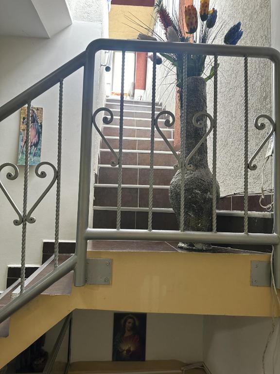 Domácí mazlíčci ubytovaní s hosty v ubytování Las Camelias Apartahotel